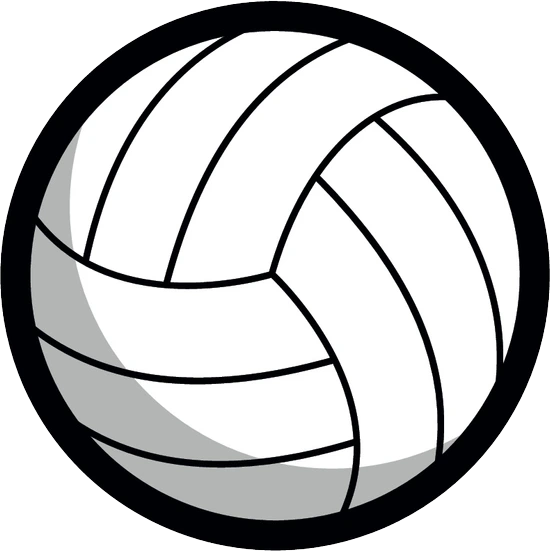 sports official icon for Volleyball